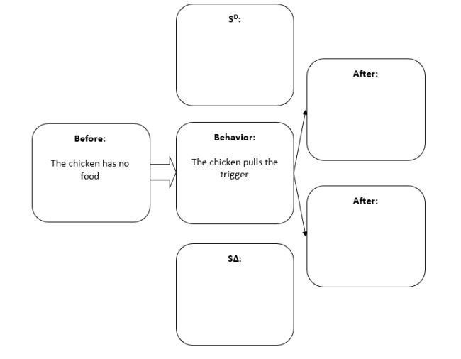 Fill in the empty boxes for -Diagram the Breland experiment that shows stimulus discrimination with chickens. Fill in the diagram. (2)   