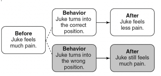 Match the following concepts with the diagrams below.  -Differential differentiation A)   B)   C)   D)   E)   F.   G.   H.   I.   J.   K.   L.   M.   N.  