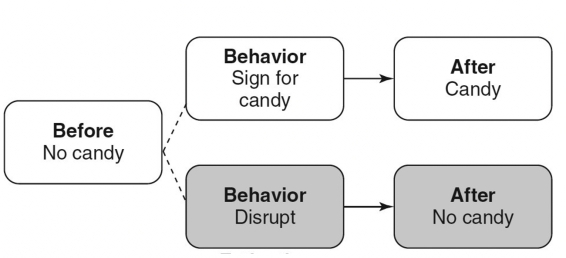 Match the following concepts with the diagrams below.  -Differential differentiation A)   B)   C)   D)   E)   F.   G.   H.   I.   J.   K.   L.   M.   N.  