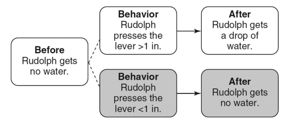 Match the following concepts with the diagrams below.  -Differential-punishment A)    B)    C)    D)    E)     F)     G)    H)     I)     J)     K)     L)     M)     N)   