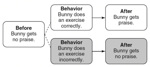Match the following concepts with the diagrams below.  -Differential-punishment A)    B)    C)    D)    E)     F)     G)    H)     I)     J)     K)     L)     M)     N)   