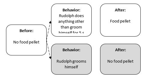 Match the following concepts with the diagrams below.  -Differential-punishment A)    B)    C)    D)    E)     F)     G)    H)     I)     J)     K)     L)     M)     N)   