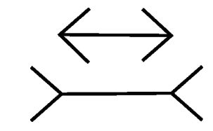 The figure below illustrates the __________________ illusion.   A)  horizontal-vertical B)  Müller-Lyer C)  margin D)  Ponzo