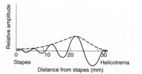 In the figure below, the dashed line that connects the peaks of the wave as it progresses is called the:   A)  amplitude B)  overtone C)  tone height D)  envelope