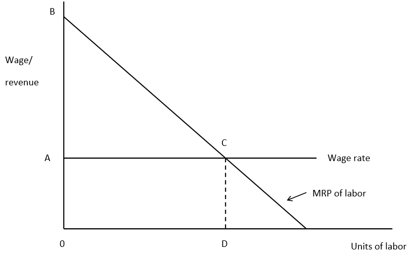 Answer the next three questions based upon the following diagram:    -The return to capital will equal: A)  ABC B)  0BD C)  0ACD D)  0BCD