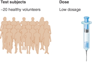 <strong>What phase of a clinical trial is shown by the illustration?  </strong> A) Phase 0 B) Phase 1 C) Phase 2 D) Phase 3 <div style=padding-top: 35px> 