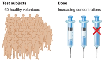 <strong>What phase of a clinical trial is shown by the illustration?  </strong> A) Phase 0 B) Phase 1 C) Phase 2 D) Phase 3 <div style=padding-top: 35px> 