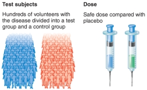 <strong>What phase of a clinical trial is shown by the illustration?  </strong> A) Phase 0 B) Phase 1 C) Phase 2 D) Phase 3 <div style=padding-top: 35px> 
