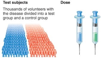 <strong>What phase of a clinical trial is shown by the illustration?  </strong> A) Phase 0 B) Phase 1 C) Phase 2 D) Phase 3 <div style=padding-top: 35px> 