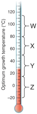 The bracket marked  x  is the range of temperature where ________ bacteria have their optimum growth temperature.   A)  hyperthermophilic B)  thermophilic C)  mesophilic D)  psychrophilic