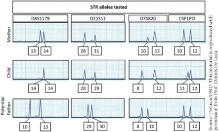 Based on the STR results, what is the correct conclusion for the paternity of the child? (Select all that apply)    A)  The mother does not have enough matching STR alleles to be the mother of the child. B)  The father does not have enough matching STR alleles to be the father of the child. C)  The matching STR allele for each locus is consistent with this woman being the mother of the child. D)  The matching STR allele for each locus is consistent with this man being the father of the child.