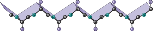 This protein folding pattern is known as a(n)  ________ and represents the ________ protein structure.   A)  alpha-helix; primary B)  beta-sheet; secondary C)  peptide backbone; tertiary D)  zig-zig chain; quaternary