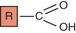 Identify this functional group.   A)  aldehyde B)  thiol C)  carboxyl D)  hydroxyl