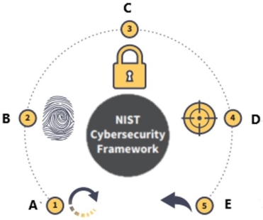 The National Institute of Standards and Technology (NIST)  Cybersecurity Framework is displayed below.   What is function D? A)  Recover B)  Identify C)  Protect D)  Detect
