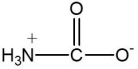 Which one of the following compounds is an amino acid? A)      B)      C)      D)      E)    