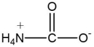 Which one of the following compounds is an amino acid? A)      B)      C)      D)      E)    