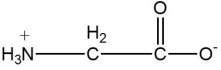Which one of the following compounds is an amino acid? A)      B)      C)      D)      E)    