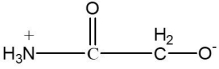 Which one of the following compounds is an amino acid? A)      B)      C)      D)      E)    