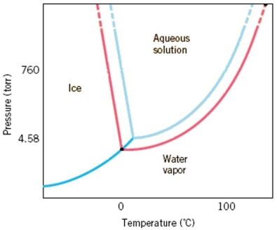 A phase diagram, like the one below, for an aqueous solution shows a shift in the solid/liquid and liquid/gas phase transitions but there is not a shift in the sublimation line between solids and gases. Explain what causes the shift in the other transitions and why this does not change a shift in the solid/gas transition.Hint: Think about the difference in vapor pressure between a solution and a pure substance.  