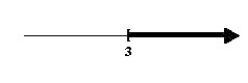 <strong>Solve the rational inequality and graph the solution on the real number line.  </strong> A)   B)   C)   D)   <div style=padding-top: 35px> 