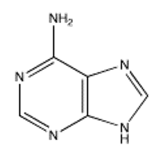 <strong>Which of the following bases is not present in RNA?</strong> A) B) C) D) E)