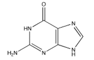 <strong>Which of the following bases is not present in RNA?</strong> A) B) C) D) E)