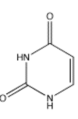 <strong>Which of the following bases is not present in RNA?</strong> A) B) C) D) E)