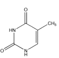 <strong>Which of the following bases is not present in RNA?</strong> A) B) C) D) E)
