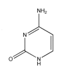 <strong>Which of the following bases is not present in RNA?</strong> A) B) C) D) E)
