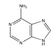 Which of the following bases is not present in RNA? A)     B)     C)     D)     E)    