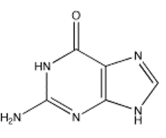 Which of the following bases is not present in RNA? A)     B)     C)     D)     E)    