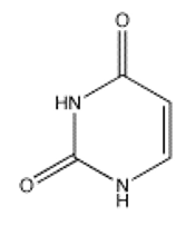Which of the following bases is not present in RNA? A)     B)     C)     D)     E)    