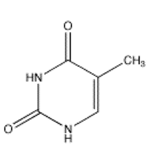 Which of the following bases is not present in RNA? A)     B)     C)     D)     E)    