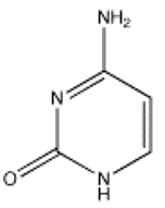 Which of the following bases is not present in RNA? A)     B)     C)     D)     E)    