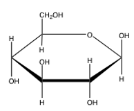  Which of the following Haworth projections correctly shows the   \alpha   anomer of galactose? A)     B)     C)     D)     E)  none of the above 