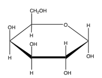  Which of the following Haworth projections correctly shows the   \alpha   anomer of galactose? A)     B)     C)     D)     E)  none of the above 