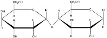  The following is a(n)  _____ disaccharide with a(n)  _____ glycosidic bond.   A)    \alpha  ;   \beta  (1  \rarr  4)  B)    \alpha  ;   \beta  (1  \rarr  1)  C)    \beta  ;   \alpha  (1  \rarr  4)  D)    \beta  ;   \alpha  (1  \rarr  1)  E)    \beta  ;   \beta  (1  \rarr  4)  