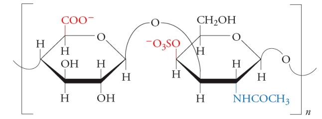  Chondroitin sulfate, shown below, contains which of the following?   A)  a   \beta  (1  \rarr  3)  glycosidic bond B)  a   \beta  (1  \rarr  4)  glycosidic bond C)  a glucuronic acid residue D)  a sulfate ester of N-acetylgalactosamine E)  all of the above 
