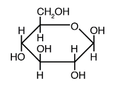  <strong>The structure below shows a Fischer projection of D-Idose.   Which of the structures below represents   \beta  -D-Idopyranose</strong> A)   B)   C)   D)   E)   <div style=padding-top: 35px>  