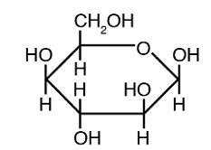  <strong>The structure below shows a Fischer projection of D-Idose.   Which of the structures below represents   \beta  -D-Idopyranose</strong> A)   B)   C)   D)   E)   <div style=padding-top: 35px>  