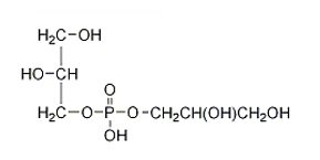 <strong>Which of the following structures correctly represents a glycerophospholipid?</strong> A)   B)   C)   D)    E) none of the above <div style=padding-top: 35px> 