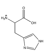 Which of the following structures shows the prevalent form of histidine at pH 5? A)     B)     C)     D)     E)  none of these choices