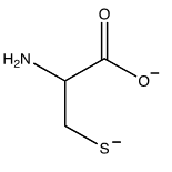 Which of the following structures shows the prevalent form of cysteine at pH 12? A)     B)     C)     D)     E)  none of these choices