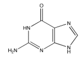 Which of the following bases pairs with guanine? A)     B)     C)     D)     E)    