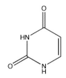 Which of the following bases pairs with guanine? A)     B)     C)     D)     E)    