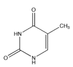 Which of the following bases pairs with guanine? A)     B)     C)     D)     E)    