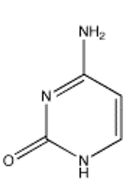 Which of the following bases pairs with guanine? A)     B)     C)     D)     E)    