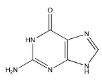 <strong>Which of the following bases is not present in RNA?</strong> A) B) C) D) E)