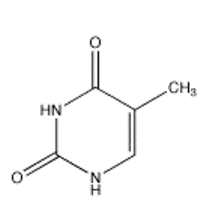 <strong>Which of the following bases is not present in RNA?</strong> A) B) C) D) E)