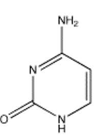 <strong>Which of the following bases is not present in RNA?</strong> A) B) C) D) E)